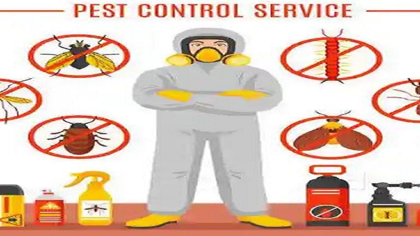 Pest Control (2)